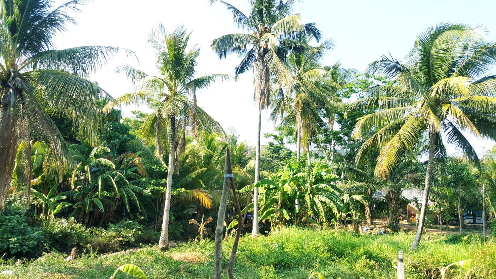 Home No.9 Ko Lanta Dış mekan fotoğraf